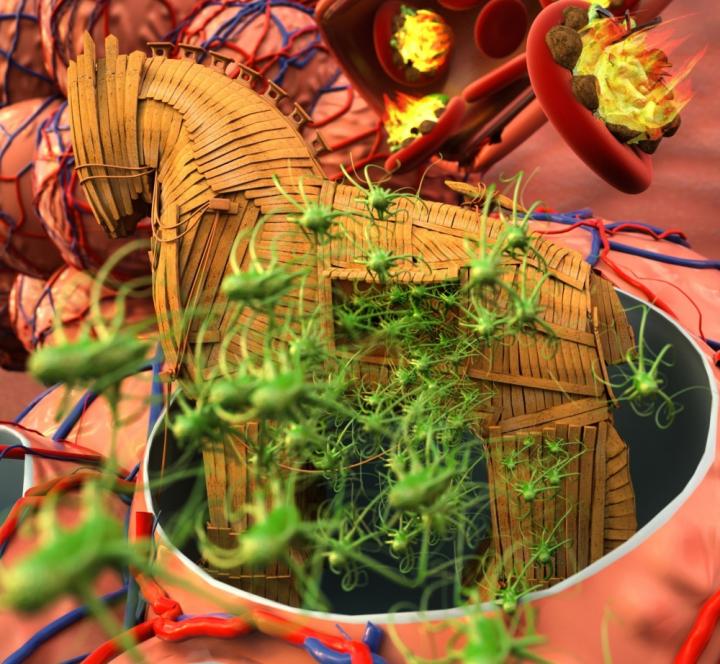 Bacteria Switch