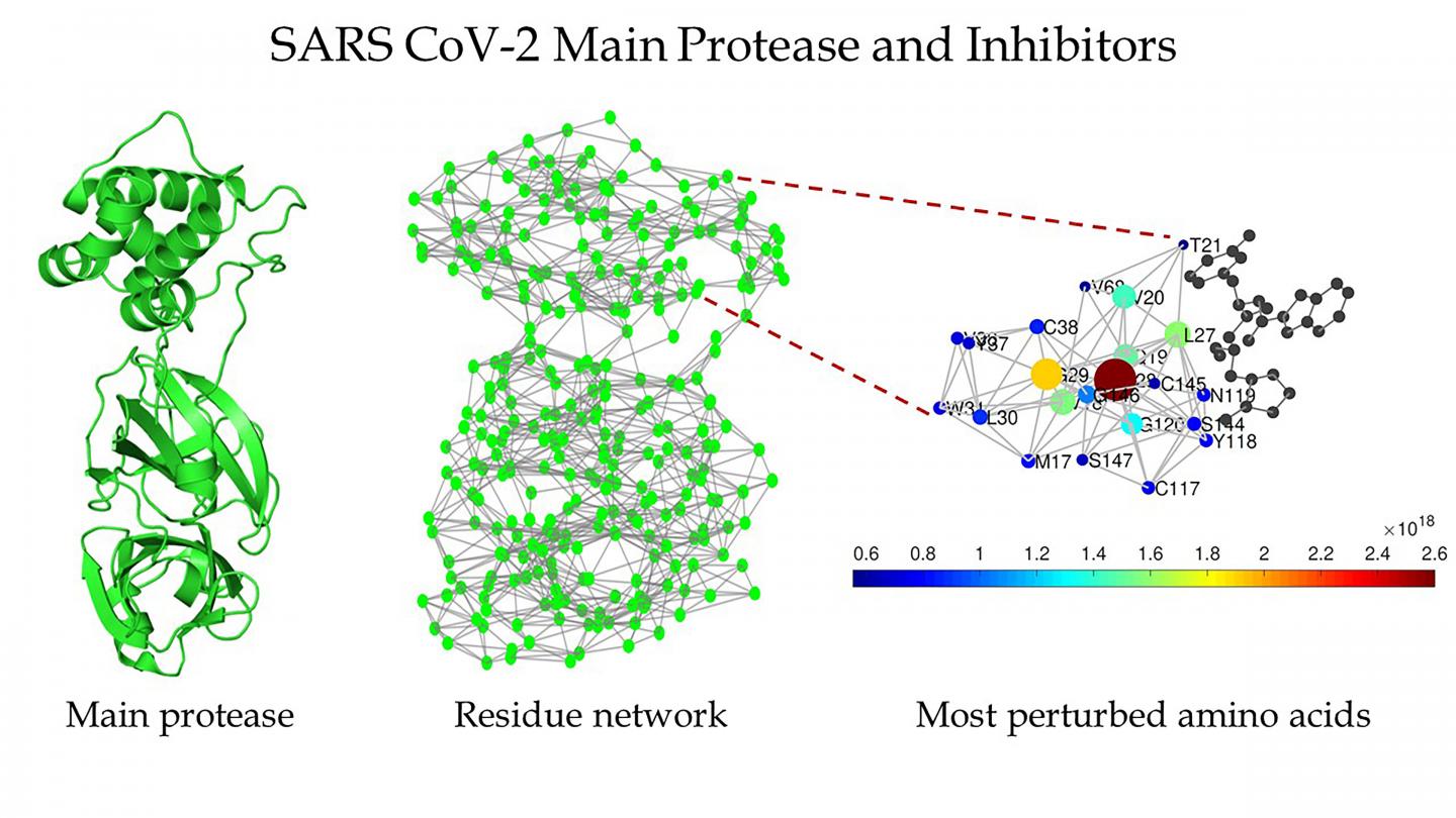 Schematic: SARS CoV-2 and SARS CoV-2