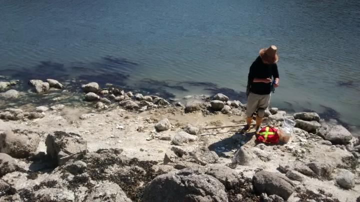 3,500 Years of Shellfish Farming by Indigenous Peoples on the Northwest Coast (1 of 2)