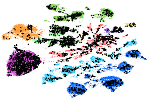 Cell map