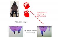 From Virtual to Reality! Virtual Training Improves Physical and Cognitive Functions