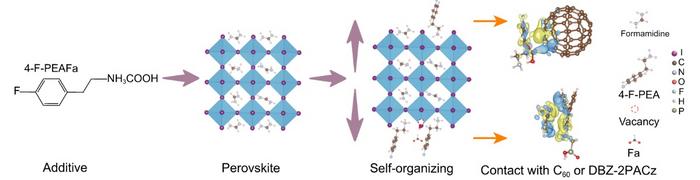 Double molecular bridges enable charge transport in perovskite solar cells
