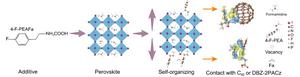 Double molecular bridges enable charge transport in perovskite solar cells