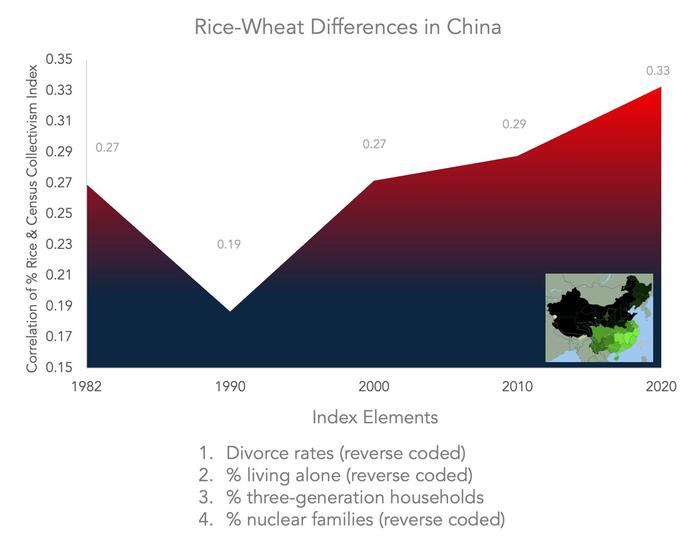 Seed Theory Graphs - Blue Red Rice