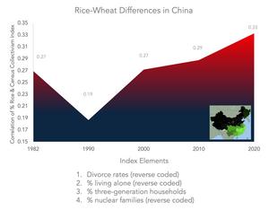 Seed Theory Graphs - Blue Red Rice