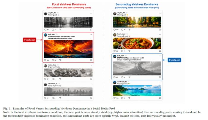 Figure 1. Examples of Focal Versus Surrounding Vividness Dominance in a Social Media Feed