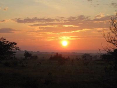 Sunset Orinoco River Basin