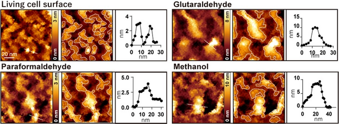 Figure 2.