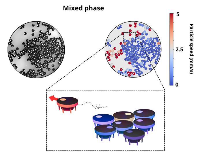 Experimental set-up and analysis