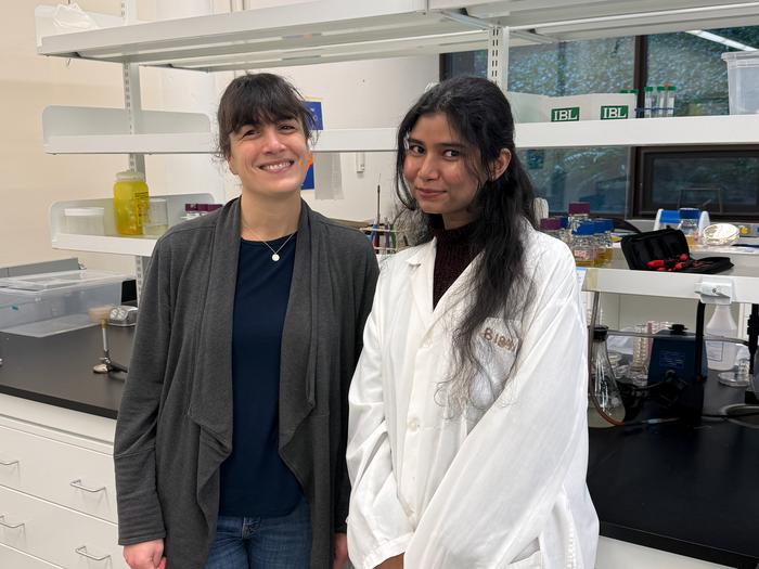 Nicole Templeman (left) and Faria Athar (right) in the Templeman Lab at the University of Victoria