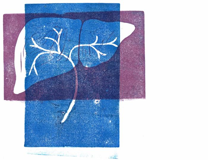 Bile duct network