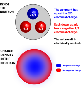 Inside The Neutron