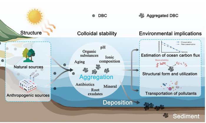 Colloidal stability of dissolved black carbon: interfacial mechanisms and environmental implications