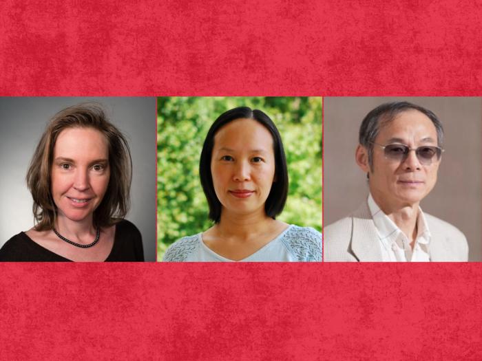 Xiaoli Nan, Cheryl Knott and Min Qi Wang