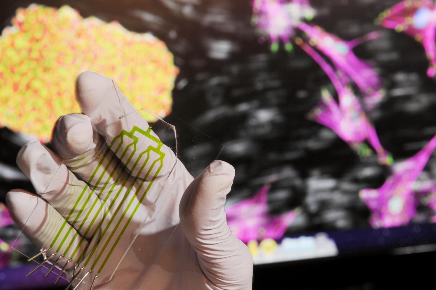 Microfluidics Cellular Adhesion