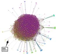 Network Visualization Diagrams of Google+ Networks