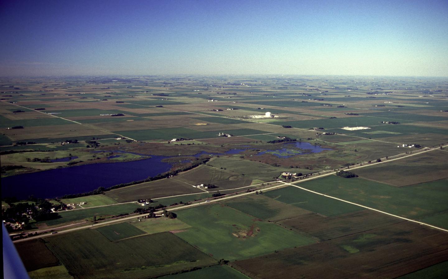 Relationship of Chlorophyll to Phosphorus and Nitrogen in Nutrient-Rich Lakes