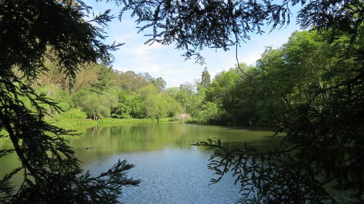 Jewel Lake, Tilden Park