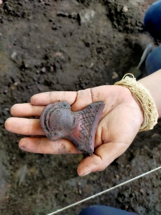 Pre-colonial adorno found at the PARINÃ excavation site