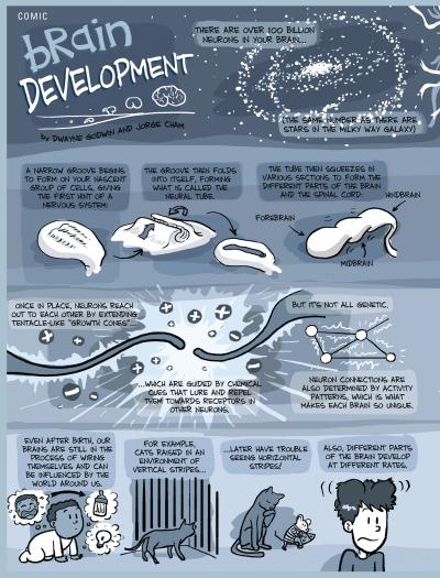 2009 Science and Engineering Visualization Challenge Winners Announced (10 of 15)