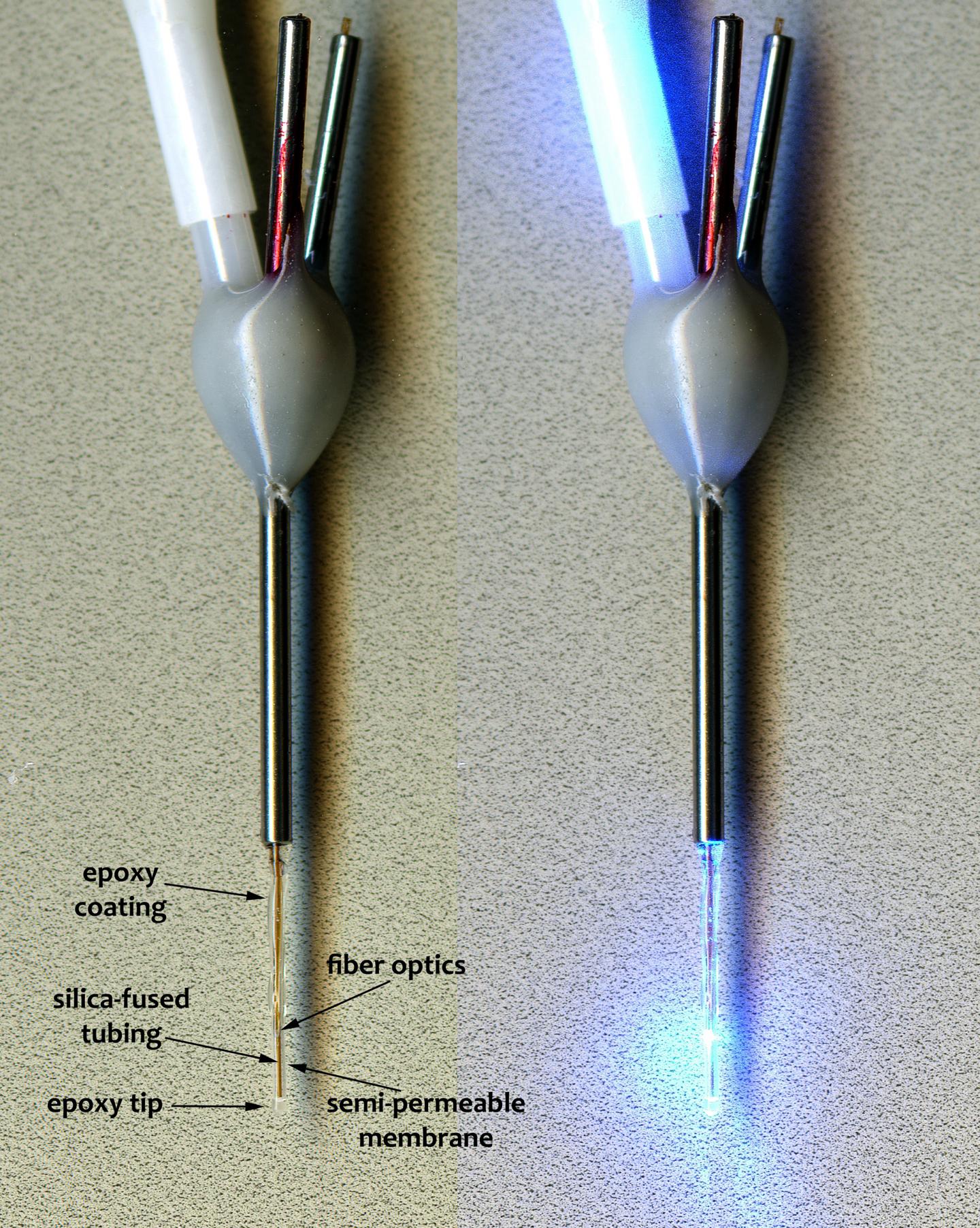 Studying Mice on Psychostimulants to Detect a Dopamine Receptor's Function (2 of 5)