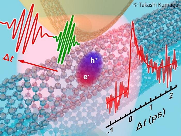 Direct observation of ultrafast local exciton dynamics with an ultrafast infrared near-field optical microscope