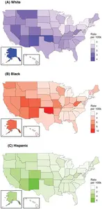 Racial and ethnic disparities in fatal police shootings: Variation across U.S. states and the role of firearm ownership