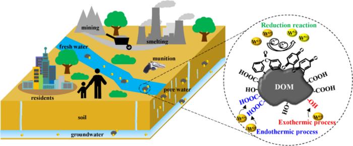 Tungsten–humic substances complexation