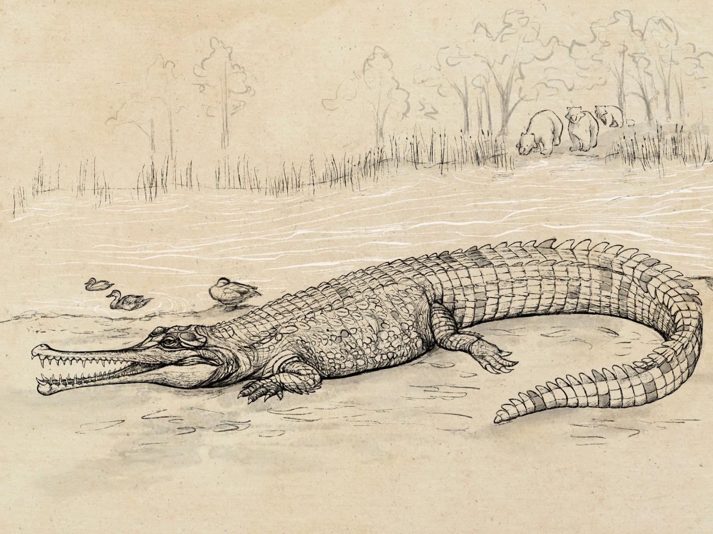 Artist's Impression
