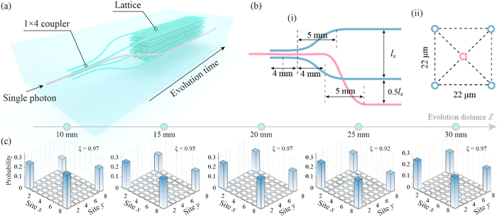 The 1×4 coupler and the measured single-photon distribution probability of corner states