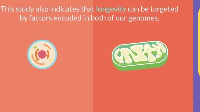 See How They Run: 'Exercise Protein' Doubles Running Capacity & Extends Healthy Lifespan in Old Mice