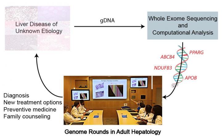 Genetic analysis has potential to transform diagnosis and treatment of adults with liver disease of unknown cause