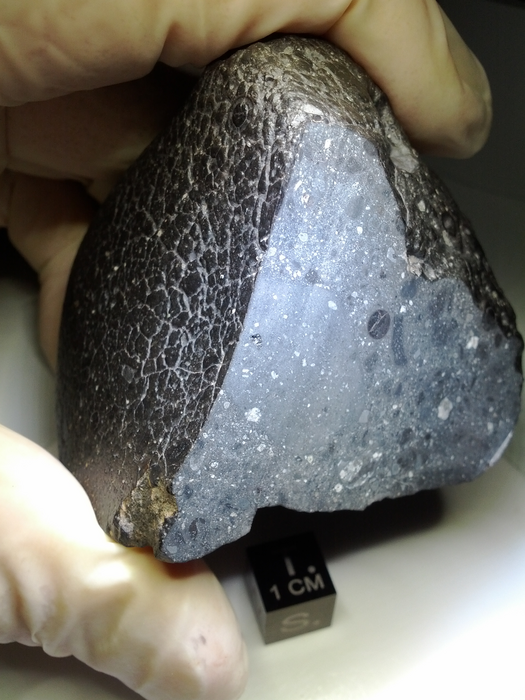 Fragment of the Black Beauty meteorite