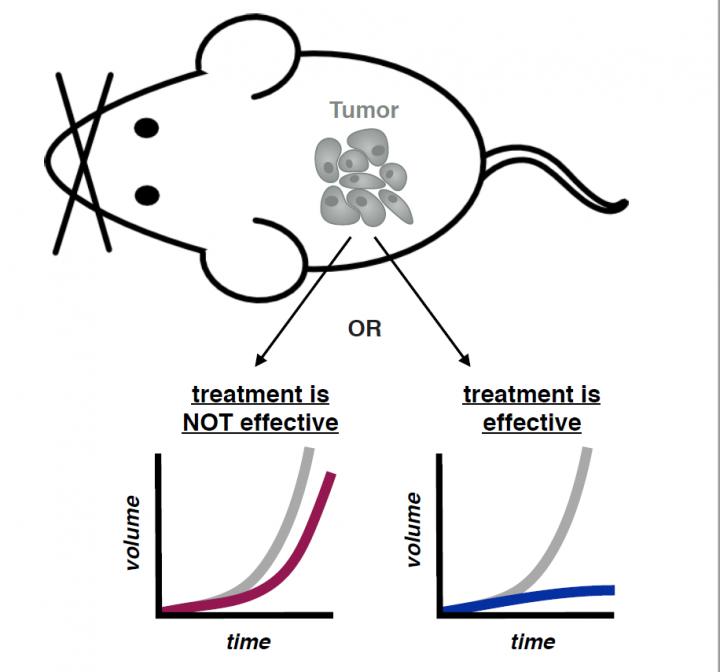 Tumor Growth Parameters Predict Response to Anti-Angiogenic Therapy in Mice