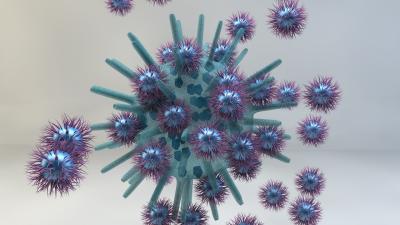 Fibrinogen and Activated EFGR