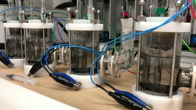 Metals May Have Promoted Early Metabolism in Earth's Oceans (4 of 5)