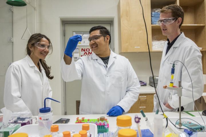 Researchers