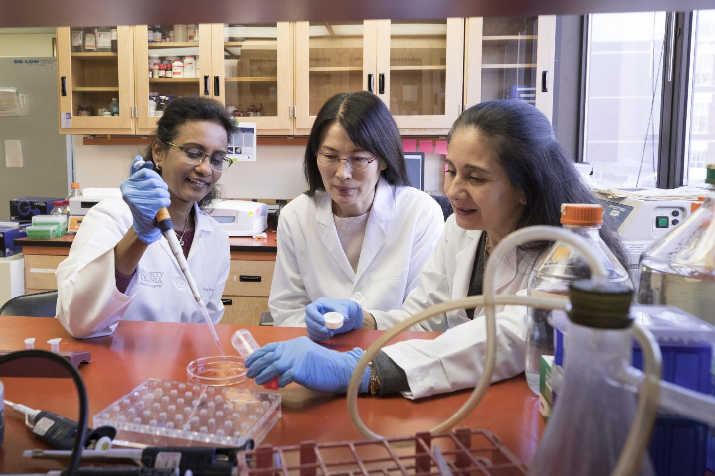 Scientists Seeking to Regrow Kidneys Make Promising Kidneys