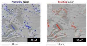 Identification of magnetization reversal process in nonoriented electrical steel based on the data-driven model