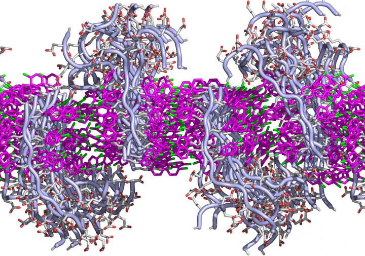 Lipid-Like Peptoid Membrane