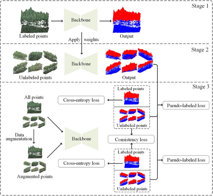 Overview of our proposed canopy extraction strategy.