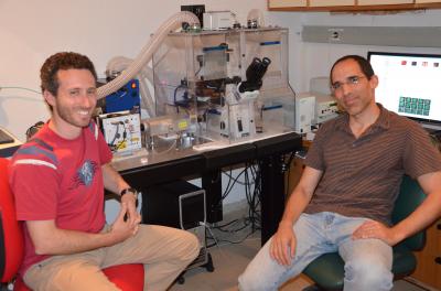 Shai Melcer and Dr. Eran Meshorer, Hebrew University of Jerusalem