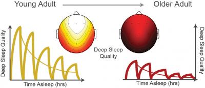 Sleep Differences in Older and Younger Adults