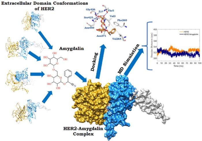 Article Graphical Abstract