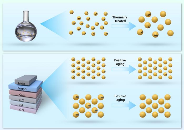 Thermal engineering of ZnMgO enables high-reliability and long-lifetime quantum dot light-emitting diodes