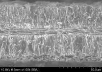 Electroplated Cathode