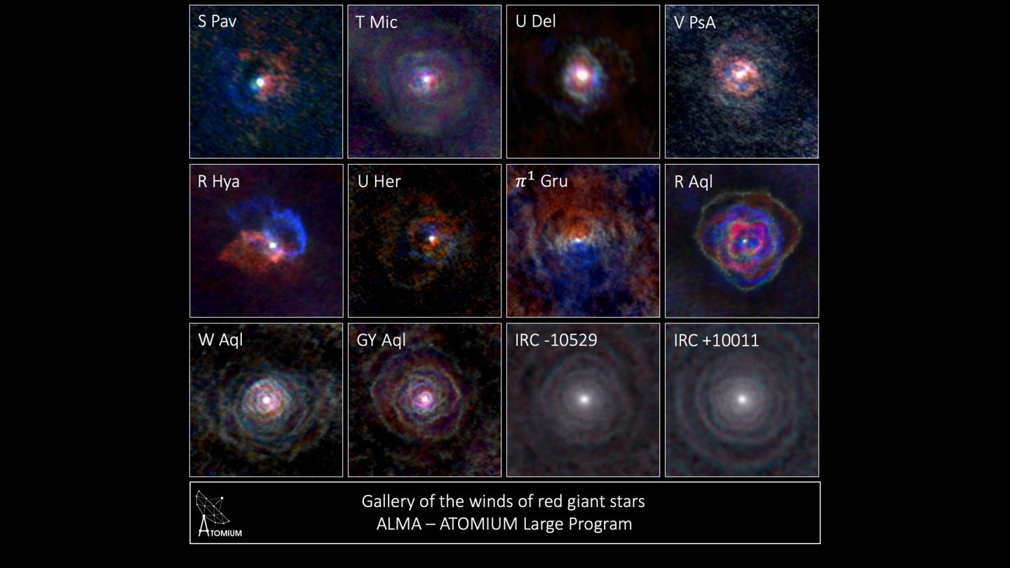 The Stellar Winds of Evolved Stars Are Shaped by Binary Companions (1 of 5)