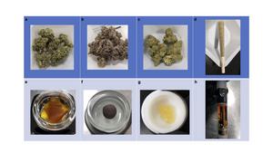 A sampling of cannabis