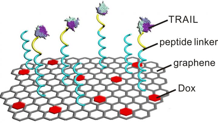 Graphene 'Flying Carpet' Delivers 2 Anti-Cancer Drugs Sequentially