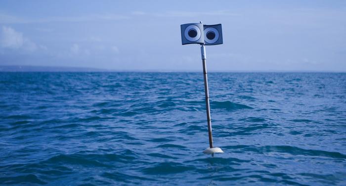 A floating scarecrow known as a Looming Eye Buoy